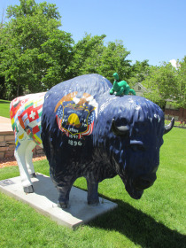 buffalo