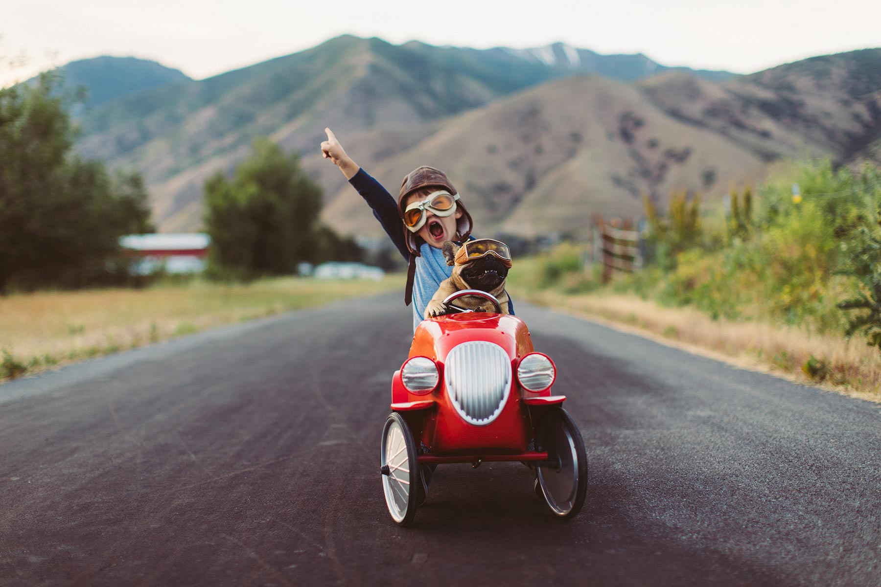 Child in vintage car with dog