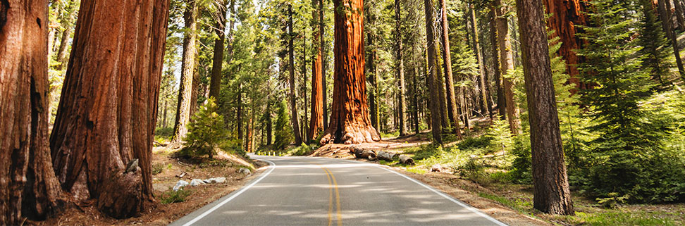 Epic Roads California