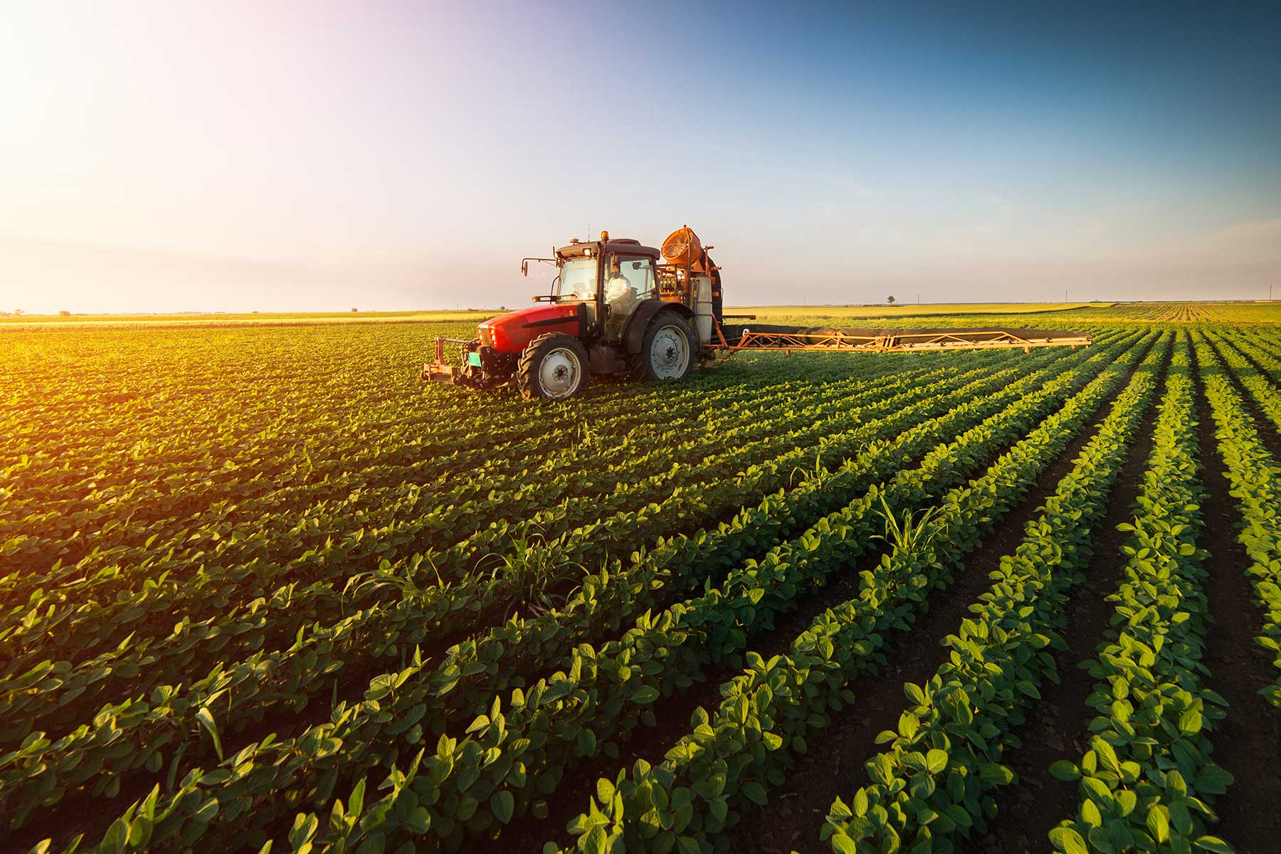 A tractor sits in a lush green field under bright sunlight, with the sun shining overhead and casting soft shadows across the vibrant landscape