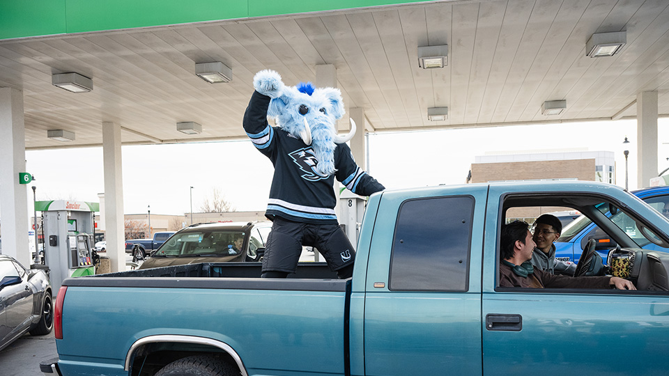 Tusky in the bed of a truck