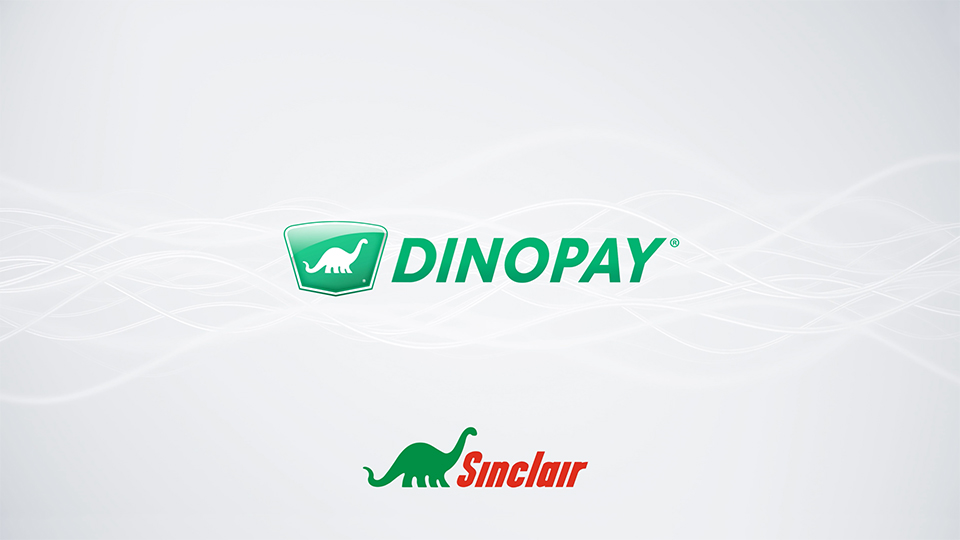 How to Use DINOPAY