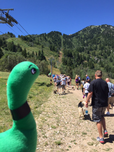 trail at sinclair dino snowbasin