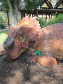 sinclair dino at utah's hogle zoo